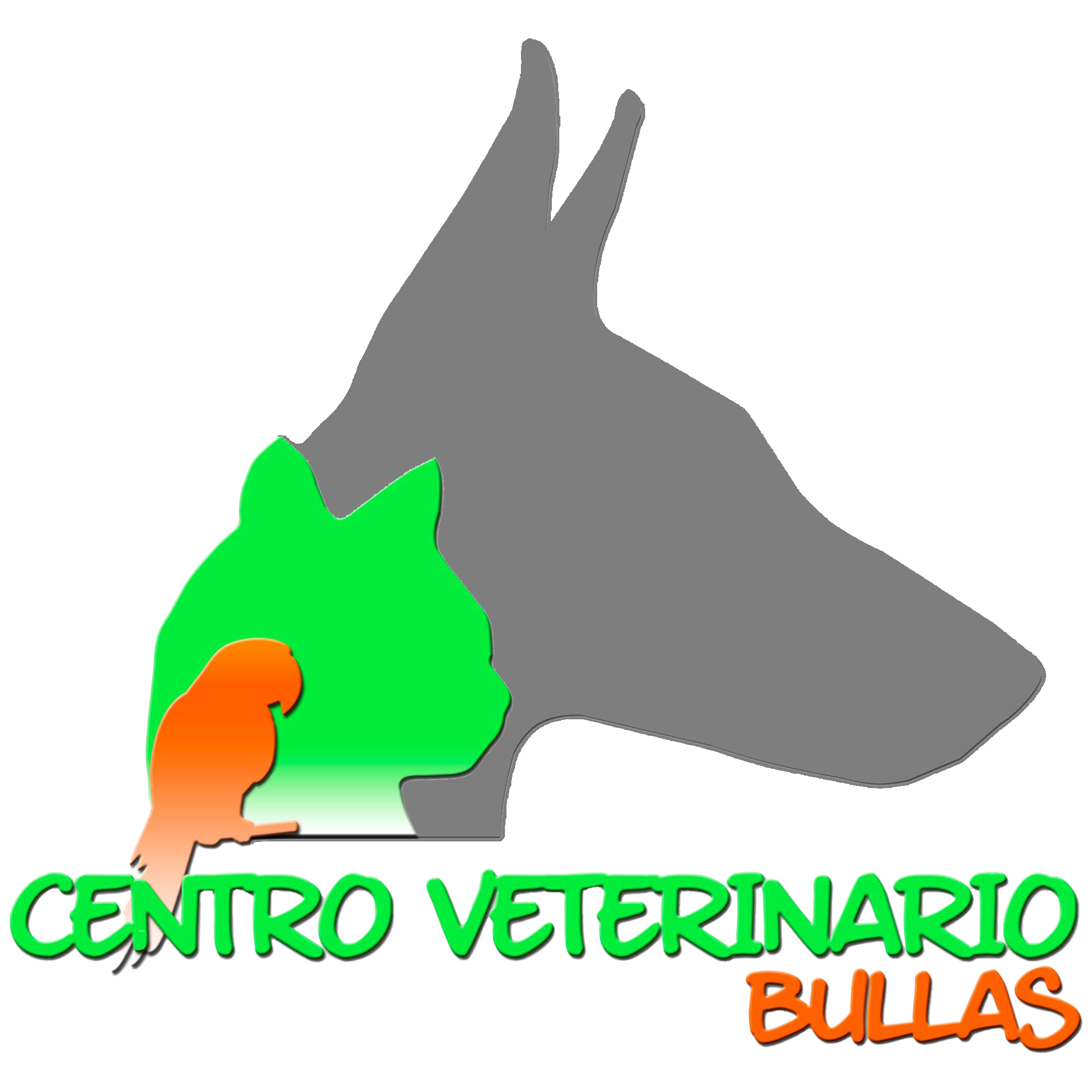 Clinica Veterinaria El Rincon